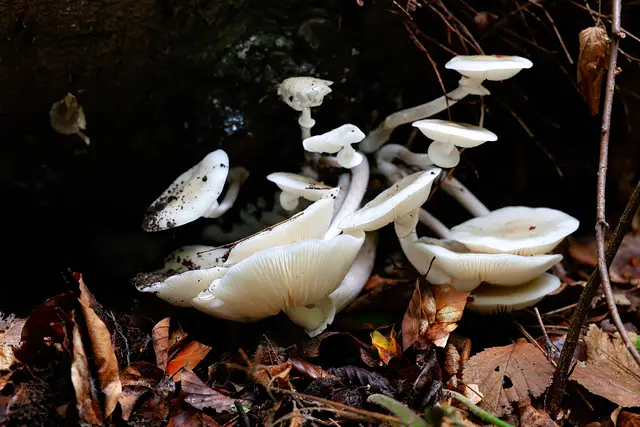 Etwas glibberig. | Foto: UD