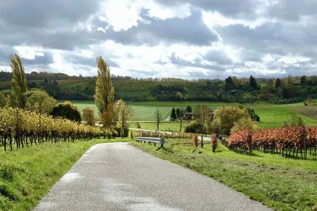 Die Sonne kommt durch | Foto: ED