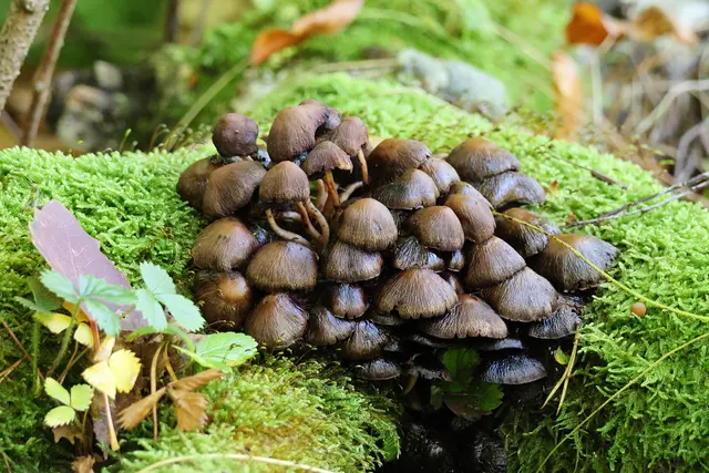 Etwas glitschig. | Foto: UD