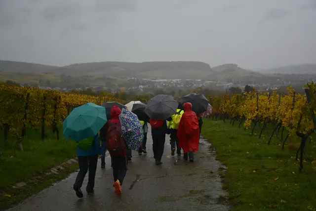 Als das Gröbste vorbei war ging es weiter Richtung Lehrensteinsfeld.. | Foto: Michael Harmsen