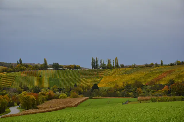 Da müssen wir hin, dort gibt es dann eine Belohnung.  ;-) | Foto: Michael Harmsen