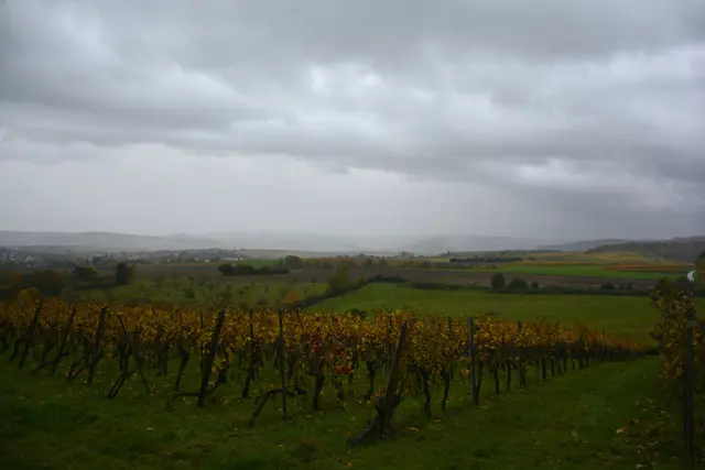 Auch Richtung Löwensteiner Berge sieht es nicht besser aus. | Foto: Michael Harmsen