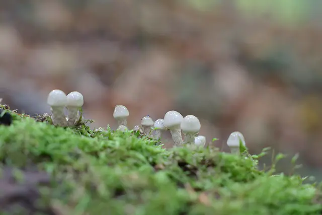 Auch glibberig ;-) | Foto: UD