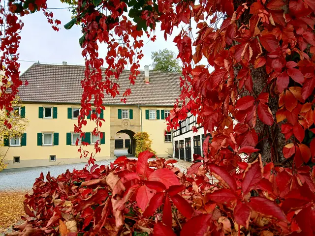 Rot umrankter Blick auf Schloss Bonfeld  | Foto: sigischlottke