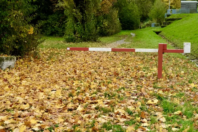 Hier gehts zum See | Foto: ED