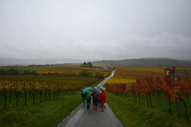 Vor uns das Schützenheim von Lehrensteinsfeld. | Foto: Michael Harmsen