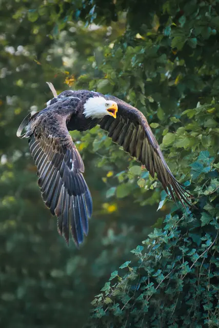 Foto: Yvonne Sperber