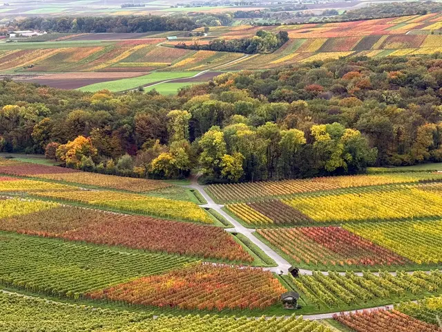Farbenteppich | Foto: E. Rosendorf