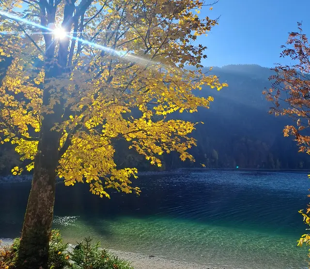 Herbst am Eibsee | Foto: Laura Hannemann