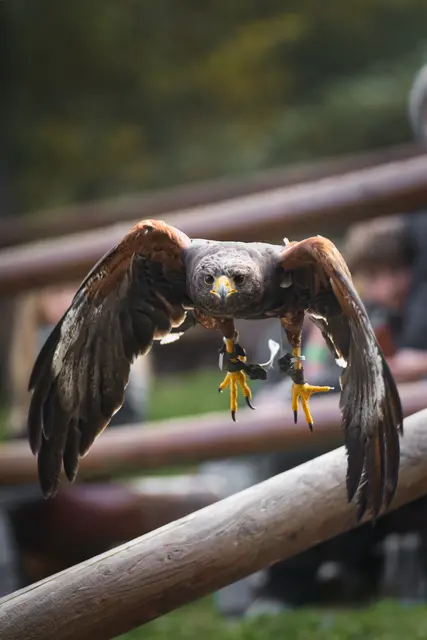 Foto: Yvonne Sperber