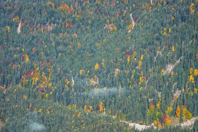 Herbst an der Zugspitze | Foto: Laura Hannemann