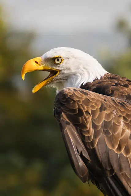 Foto: Yvonne Sperber