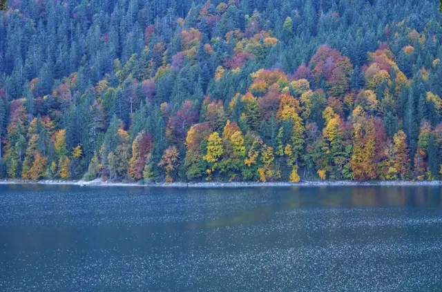 Herbst am Eibsee | Foto: Laura Hannemann