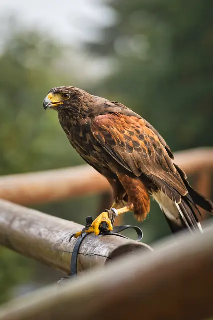 Foto: Yvonne Sperber