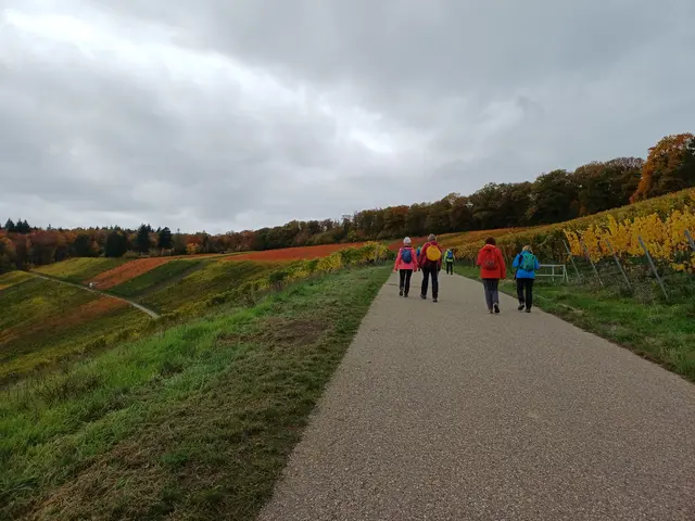 Weinberge als Farbtupfer | Foto: E. Rosendorf