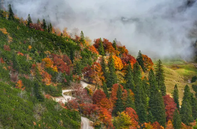 Herbst am Herzogstand | Foto: Laura Hannemann