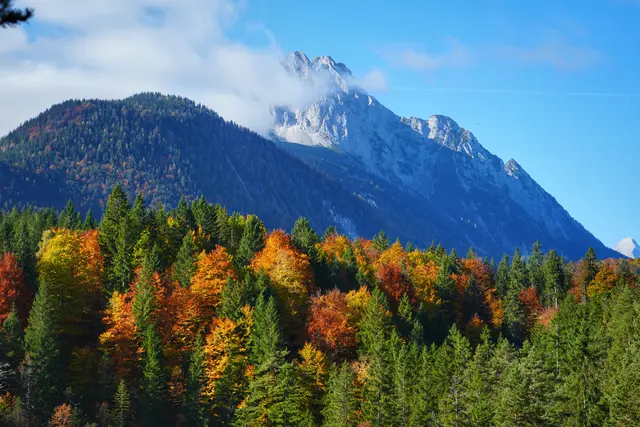 Herbst in Bayern | Foto: Laura Hannemann