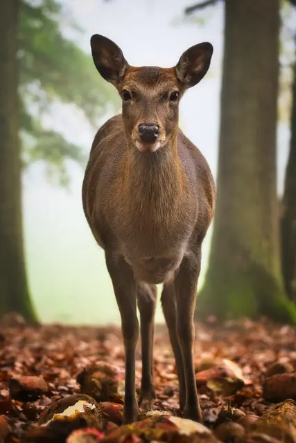 Foto: Yvonne Sperber