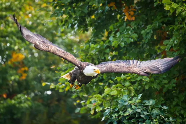 Foto: Yvonne Sperber