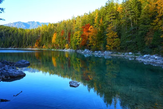 Herbst am Eibsee | Foto: Laura Hannemann