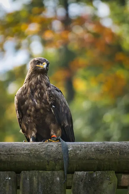 Foto: Yvonne Sperber