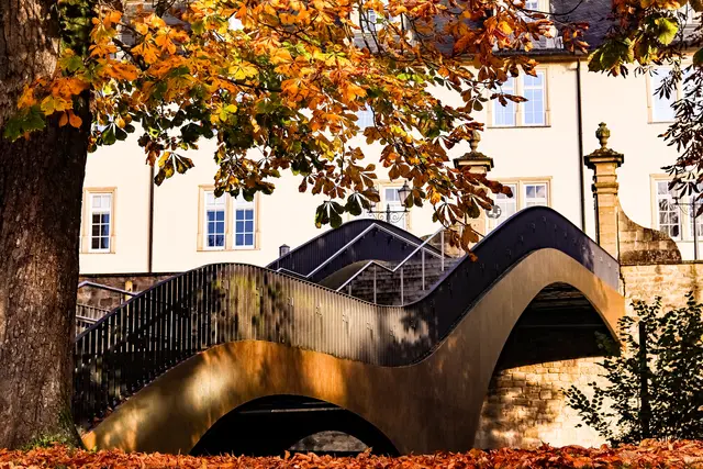 Foto: Stephanie Rüdele 