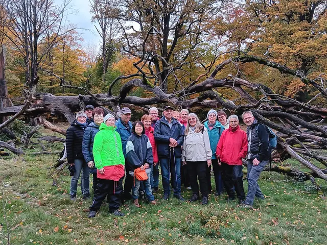 Oberhalb von Michelbach/Wald verlief die Oktober-Seniorenwanderung des Schwäbischen Albverein, Ortsgruppe Untersteinbach. Geführt wurde diese Rundtour von Ingrid Kämmler mit Unterstützung von Otto Fischer. | Foto: Schwäbischer Albverein, Ortsgruppe Untersteinbach / Dietmar Binder