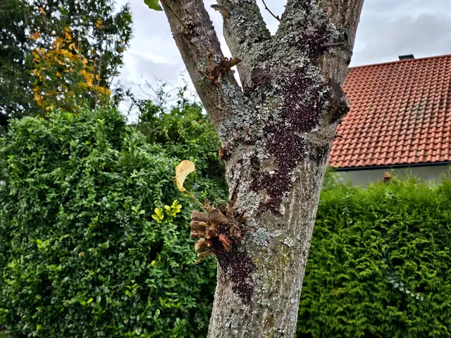 Foto: Heidrun Rosenberger