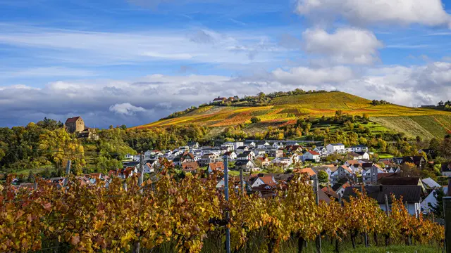 Schloss Magenheim und Michaelsberg, darunter Cleebronn | Foto: ehw