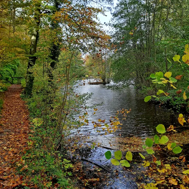 Foto: Eduard Warenik