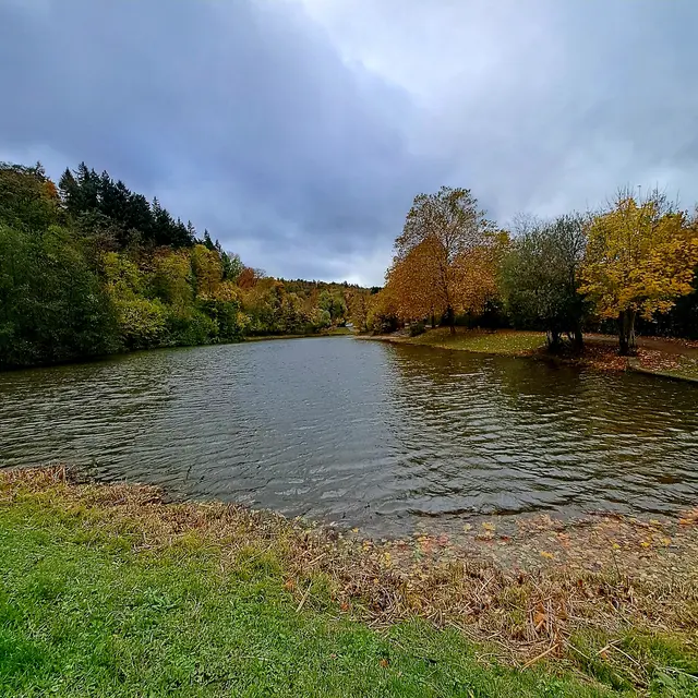 Foto: Eduard Warenik