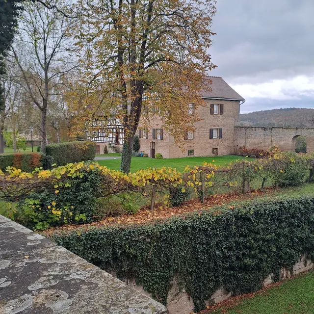 Foto: Eduard Warenik