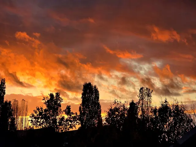 Foto: Heidrun Rosenberger