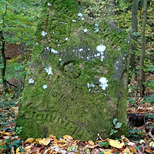 Foto: Eduard Warenik