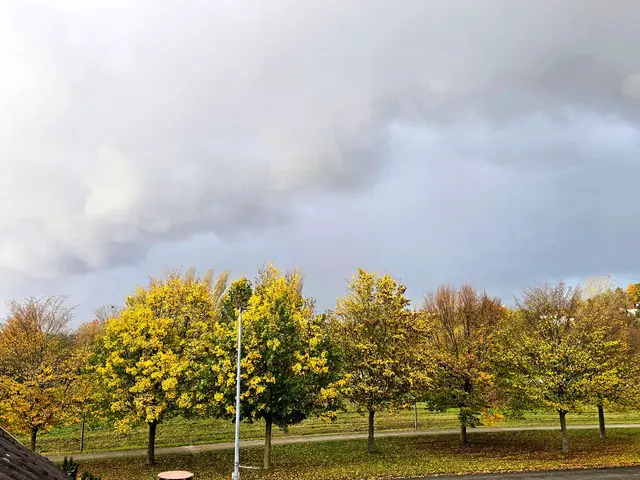 Foto: Heidrun Rosenberger