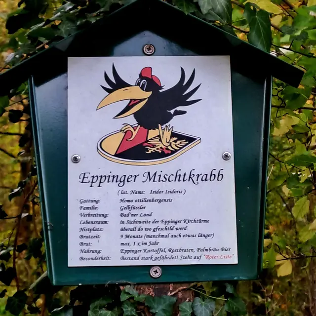 Foto: Eduard Warenik