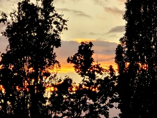 Foto: Heidrun Rosenberger