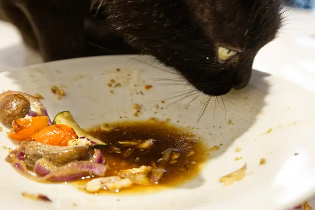 Nanu, ist der Lachs schon alle?? | Foto: WKY