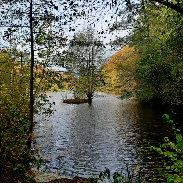 Foto: Eduard Warenik