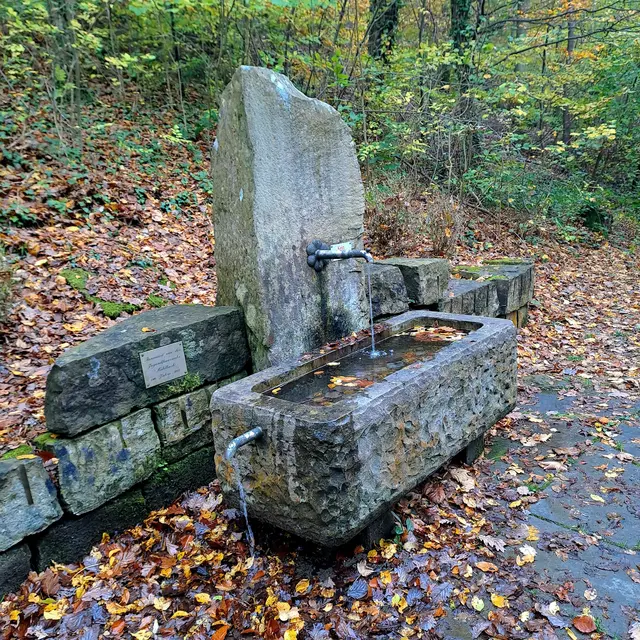 Foto: Eduard Warenik