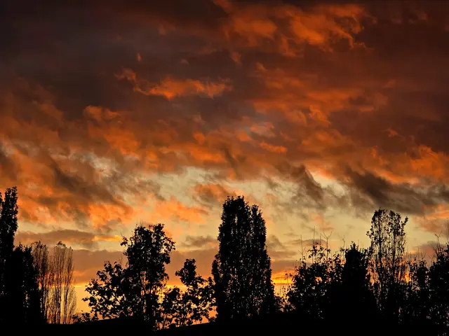 Foto: Heidrun Rosenberger