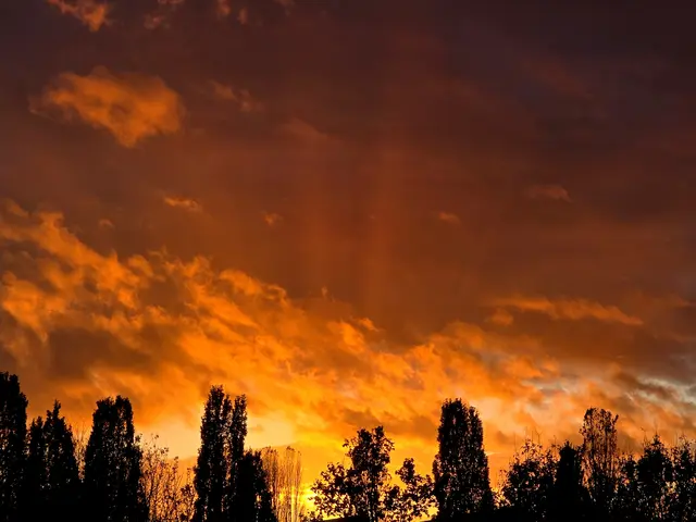 Foto: Heidrun Rosenberger