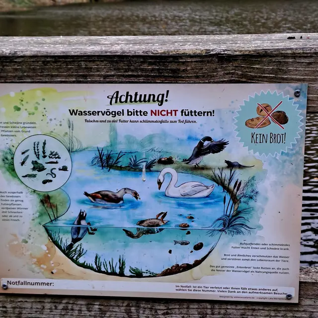 Foto: Eduard Warenik