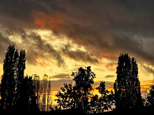 Foto: Heidrun Rosenberger