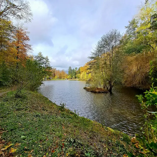 Foto: Eduard Warenik