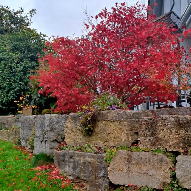 Foto: Eduard Warenik