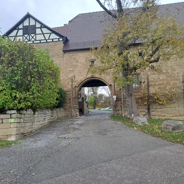 Foto: Eduard Warenik