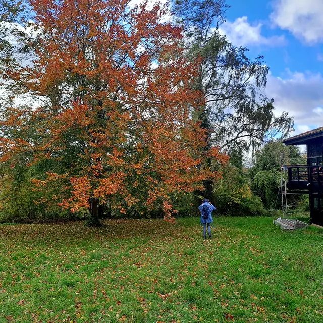 Foto: Eduard Warenik