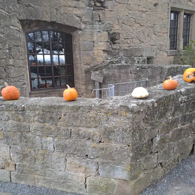 Foto: Eduard Warenik