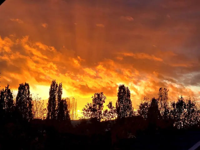 Foto: Heidrun Rosenberger